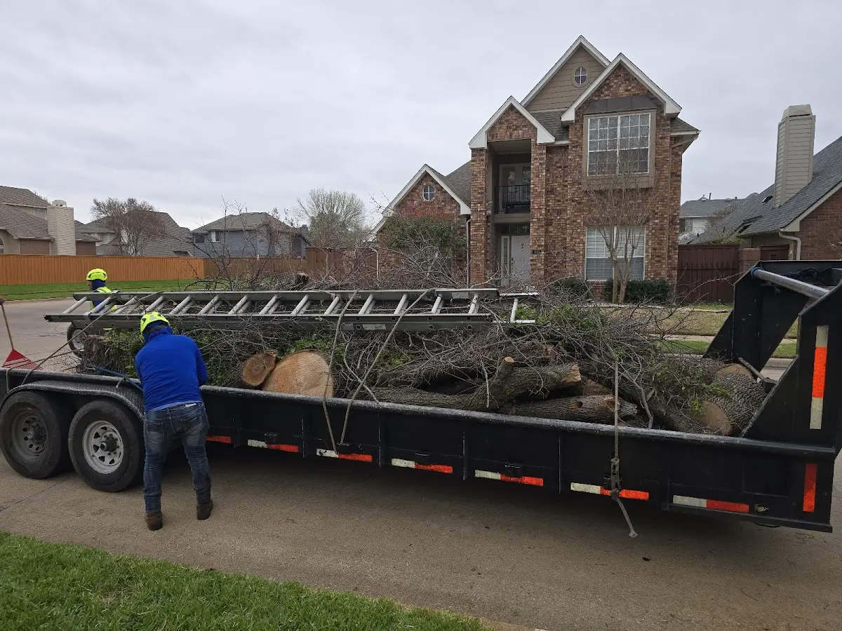 Expert Crown Reduction with proper safety equipment in Crooked Creek
